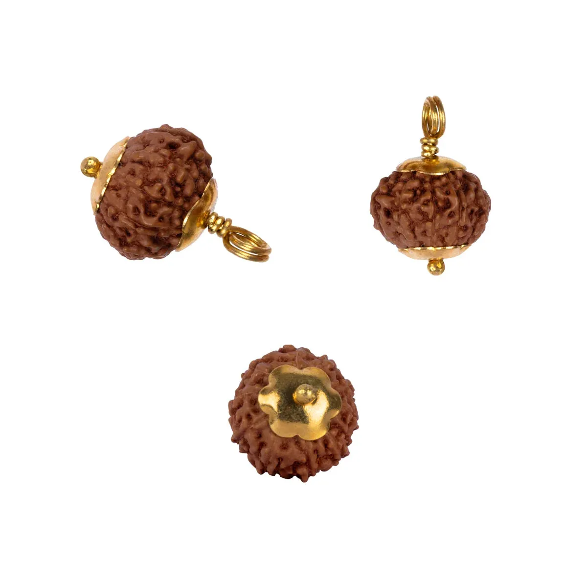 10 Face Rudraksha Pendant | Gold Cup Rudraksha Pendant/ Java Rudraksh Locket for Men & Women