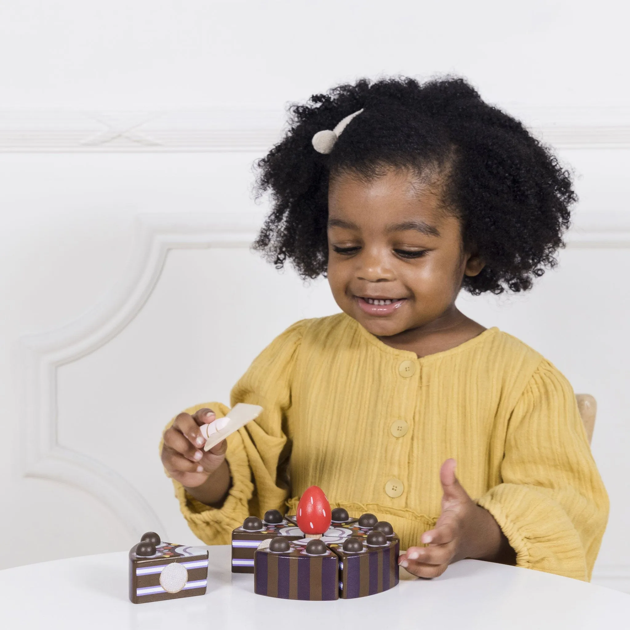 Chocolate Gateau Sliceable Cake