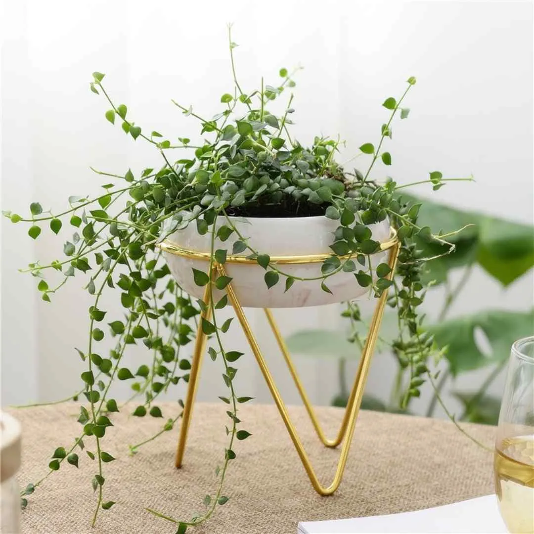 Forest Green Bowl Planter with Stand