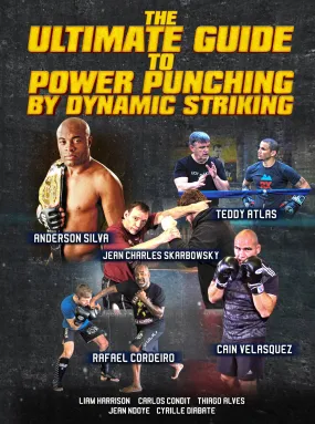 The Ultimate Guide To Power Punching